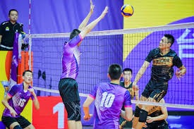 《鱼我一起：水愈时光》在鱼儿的陪伴下进入心流